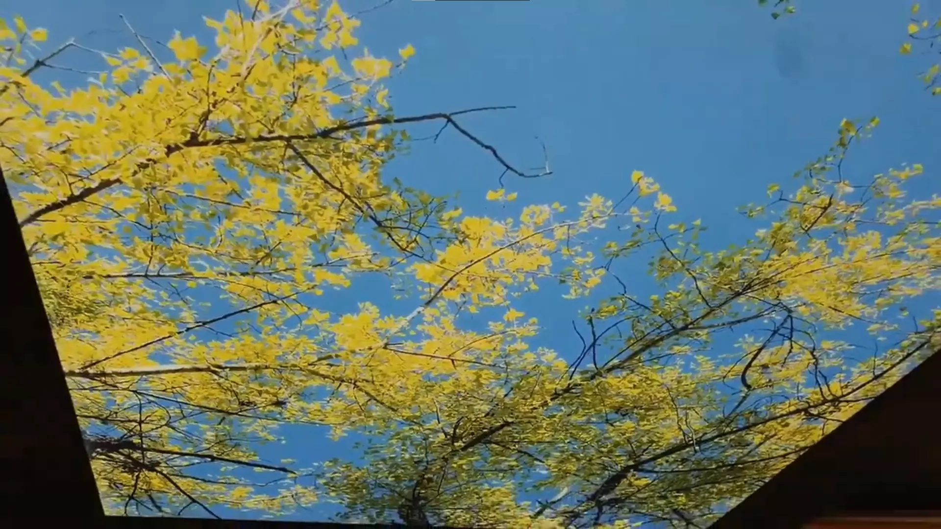 Смоленск, Рыленкова, 17, фото 2